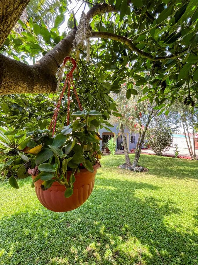 أروشا Malika Home المظهر الخارجي الصورة